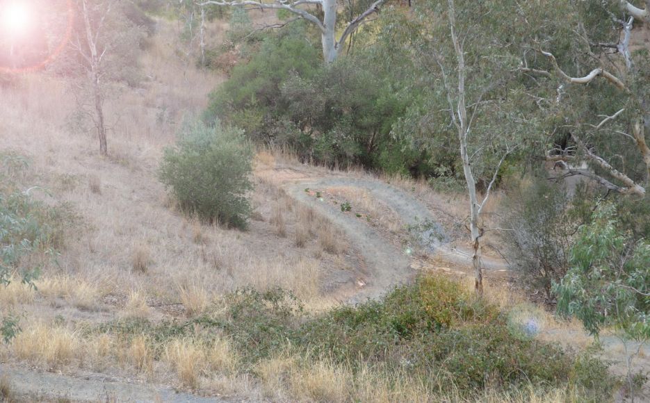Sturt Gorge Recreational Trails